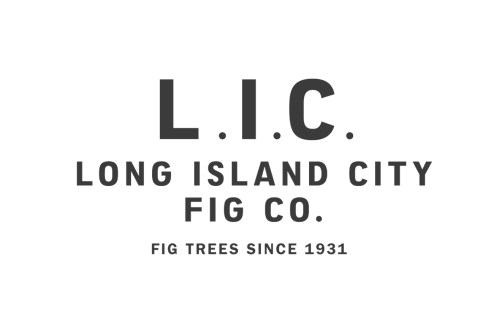 L.I.C. LOGO AUB