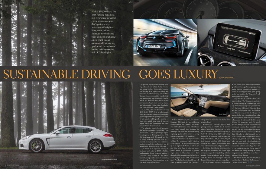 SHAWN ELLIOTT SUSTAINABLE